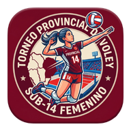 Provincial Voley